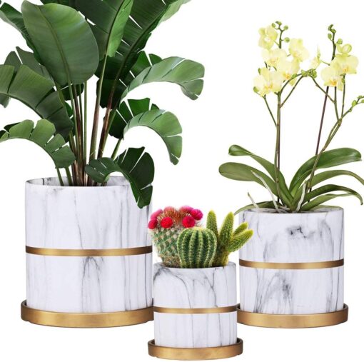 3 PCS Ceramic Planters Set Marble Texture Flower Pots with Gold Detailing Ceramic Plant Containers Garden Planter Pots with Drainage Hole and Tray for Succulent Indoor Outdoor Decor 4.3/5.5/6.6 Inches