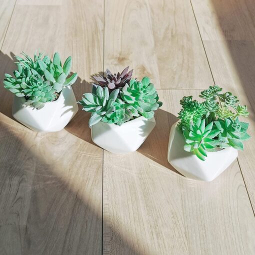 3 Pcs Assorted Small Potted Succulents Arrangement Fake Flocked Succulents in White Ceramic Pots Geometric Planters for Gift Modern Home Office Desk Shelf Table Indoor Outdoor Greenery Decoration - Image 2