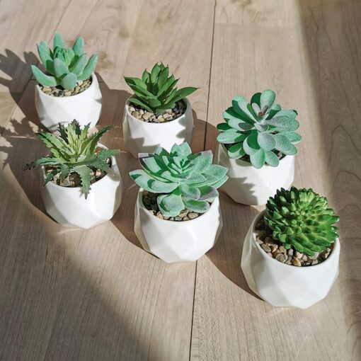 Set of 6 Assorted Small Potted Succulent Plants Fake Agave Sedum Echeveria in White Ceramic Pots Geometric Planters for Gift Home Office Desk Shelf Table Modern Indoor Outdoor Greenery Decoration - Image 3