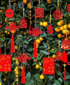 Alternative view of Winlyn 106 Pcs Chinese New Year Decorations Chinese Hanging Good Luck Ornaments Red Lanterns Festive Tree Ornaments Paper Fans for Asian Chinese Lunar New Year 2026 Year of The Horse Party Decor