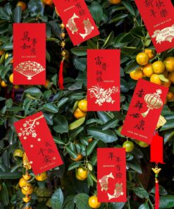 Alternative view of Supla 120 Pcs 6 Design Chinese Hong Bao Red Envelopes Lucky Money Envelopes Red Packet Lai See Lucky Packet Cash Envelope Red Pockets for Chinese New Year Wedding Birthday Year of The Dragon 2024