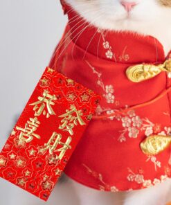 Alternative view of Winlyn 120 Pcs 6 Designs Asian Red Envelopes Chinese Hong Bao Lucky Money Envelopes Lai See Packet Cash Envelopes Red Packets for Chinese Lunar New Year Wedding Birthday Horse Year 2026