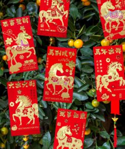Alternative view of Winlyn 240 Pcs 12 Designs Chinese New Year Red Envelopes Bulk Lucky Money Pockets Hong Bao Lai See Red Packets Lucky Cash Envelopes for Asian Vietnamese Chinese Lunar New Year 2026 Year of the Horse