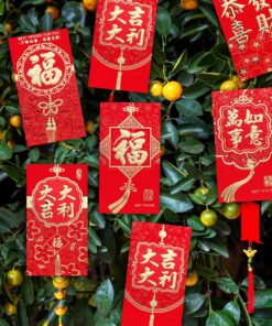 Alternative view of Winlyn 240 Pcs 6 Designs Chinese New Year Red Envelopes Bulk Lucky Money Pockets Hong Bao Lai See Red Packets Lucky Cash Envelopes for Asian Vietnamese Chinese Lunar New Year 2026 Year of the Horse