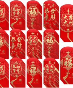 Winlyn 240 Pcs 6 Designs Chinese New Year Red Envelopes Bulk Lucky Money Pockets Hong Bao Lai See Red Packets Lucky Cash Envelopes for Asian Vietnamese Chinese Lunar New Year 2026 Year of the Horse