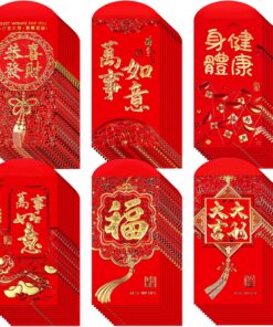Winlyn 120 Pcs 6 Designs Asian Red Envelopes Chinese Hong Bao Lucky Money Envelopes Lai See Red Packets Cash Envelopes for Chinese Lunar New Year Wedding Birthday Year of the Horse 2026